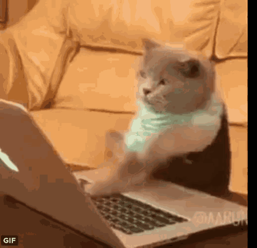 some gif to show my hard work